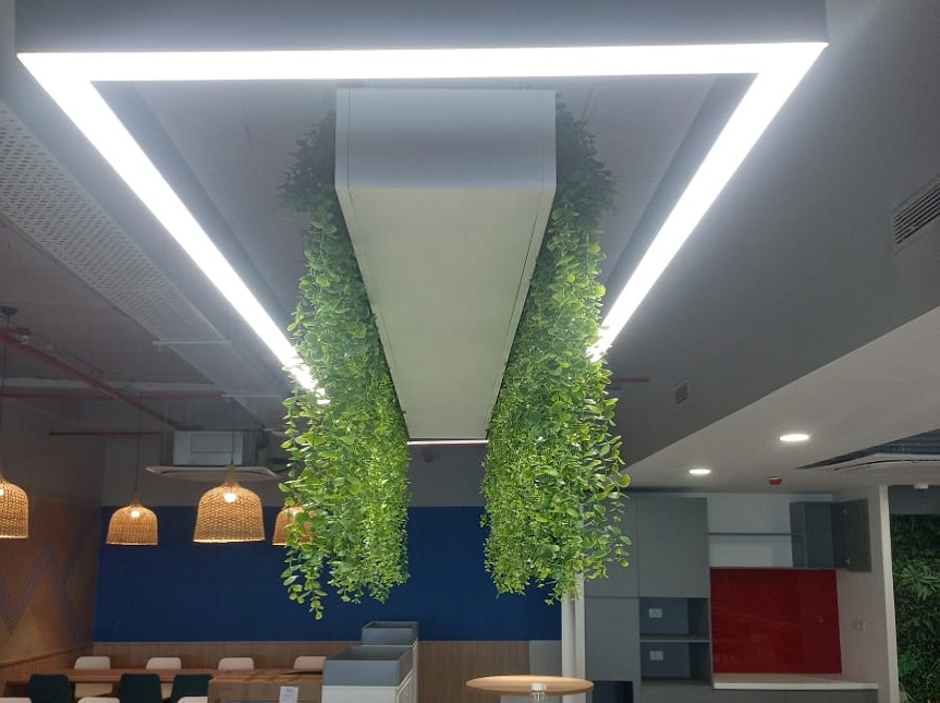 Greenscape Creation